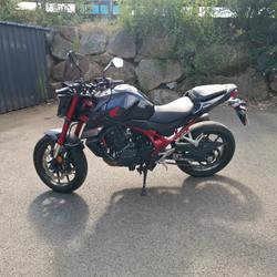 Honda Hornet  Tr&eacute;gueux