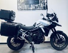 Triumph Tiger Montpellier