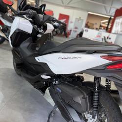 Honda Forza  Carcassonne