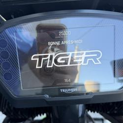 Triumph Tiger  Perpignan