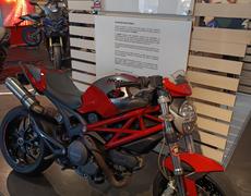 Ducati Monster
