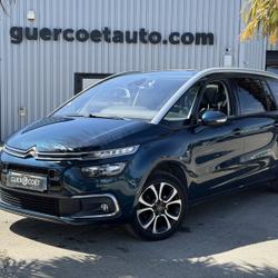 Citroen C4 Spacetourer BLUEHDI 130CH S&S SHINE EAT8 E6.D-TEMP Guer
