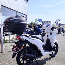 Honda Vision  Royan