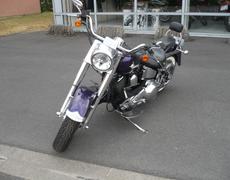 Harley Davidson Heritage classic Grenay