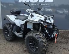 Can Am Renegade Limoges