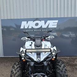 Can Am Renegade  Limoges