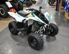 Yamaha YFM90R Nancy