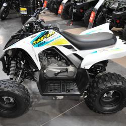 Yamaha YFM90R  Nancy