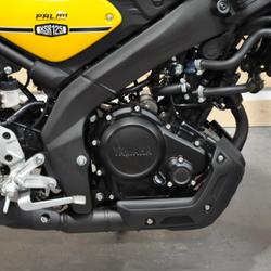 Yamaha SR  Nancy