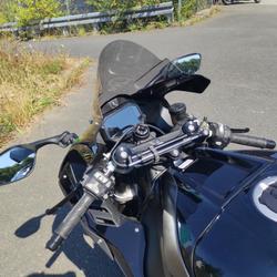 Kawasaki ZX 10R  Tr&eacute;gueux