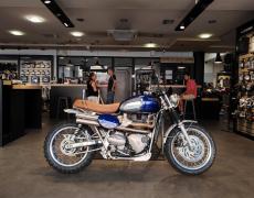 Triumph Bonneville Nice