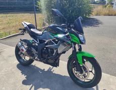Kawasaki Z Trégueux