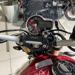Triumph autres  Toulouse