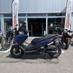 Honda Forza  Dunkerque