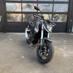 Honda Hornet  Le Mans