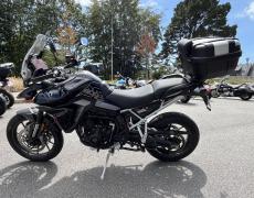 Triumph Tiger