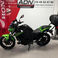 Kawasaki Z  Cognac