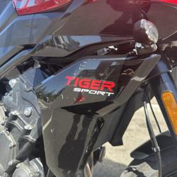 Triumph Tiger  Rochefort-du-Gard