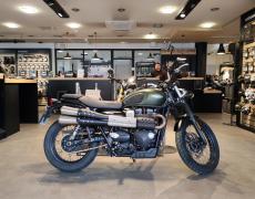 Triumph Scrambler Nice