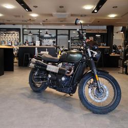 Triumph Scrambler  Nice