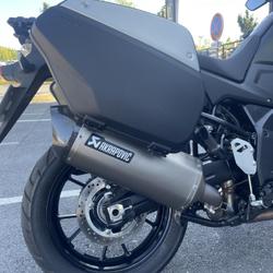 Suzuki M  Dury