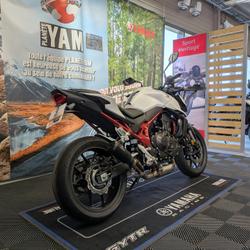Honda Hornet  Rennes