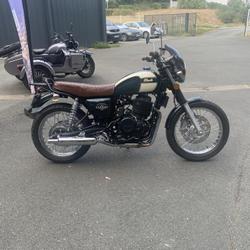 Mash 50  Saintes