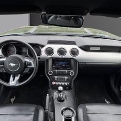 Ford Mustang Mustang Fastback 2.3 EcoBoost 317 Bruz