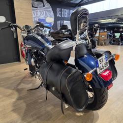 Harley Davidson Sportster  B&egrave;gles
