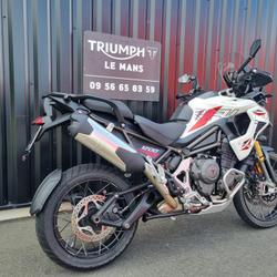 Triumph Tiger occasion - Ruaudin - photo 3/5