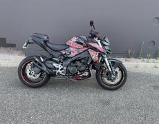 Suzuki GSXS Eckbolsheim
