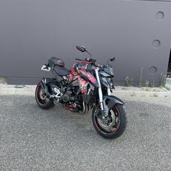 Suzuki GSXS  Eckbolsheim