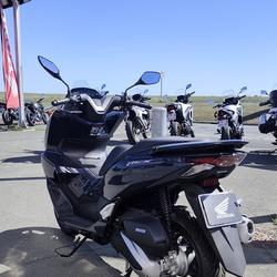 Honda PCX  Royan