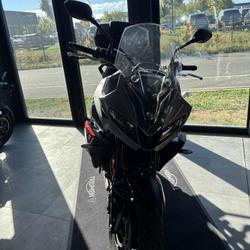 Triumph Tiger  Dury