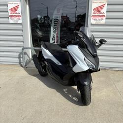 Honda Forza  Le Mans