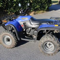 CFMOTO UT 260 occasion - Beton-Bazoches - photo 3/5