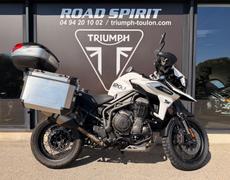 Triumph Tiger Ollioules