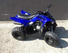 Yamaha autres Villeneuve-Saint-Georges