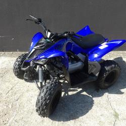 Yamaha YFM RAPTOR 110 occasion - Villeneuve-Saint-Georges - photo 3/4