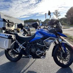 Triumph Tiger occasion - Lanester - photo 2/3