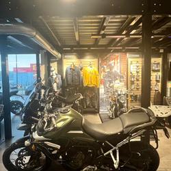 Triumph Tiger occasion - Ergu&eacute;-Gab&eacute;ric - photo 3/5
