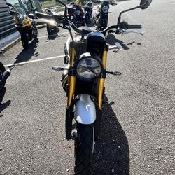 Triumph Scrambler occasion - Ergu&eacute;-Gab&eacute;ric - photo 3/3