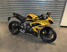Triumph Daytona Valence