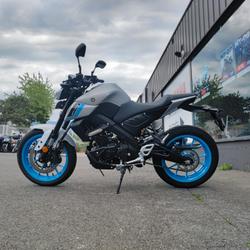 Yamaha MT 125 occasion - Ville-la-Grand - photo 3/5