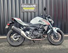 Kawasaki Z Ruaudin