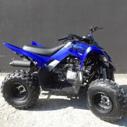 Yamaha YFM RAPTOR 110 occasion - Villeneuve-Saint-Georges - photo 2/4