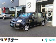Fiat Panda Plérin