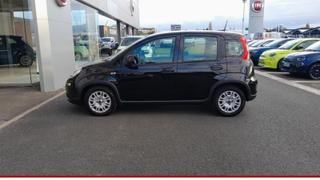 Fiat Panda  - photo 1