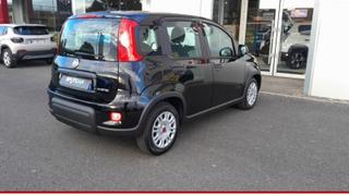 Fiat Panda  - photo 4