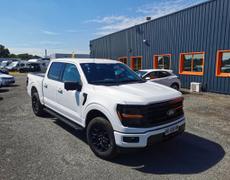 Ford F 150 La Montagne